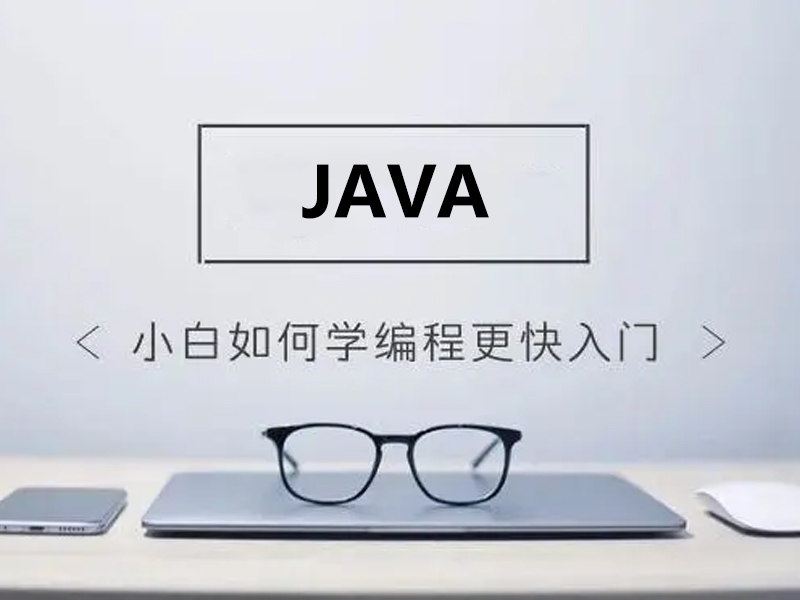 零基础小白怎么学编程